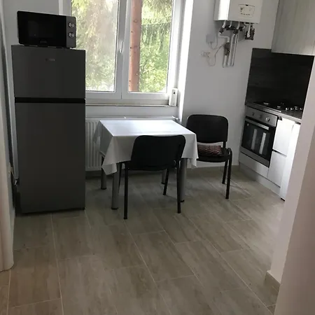 Apartament Tudor Apartman *